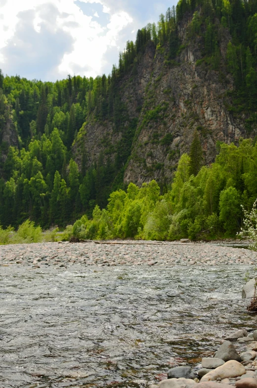 a man stands next to a river holding a white frisbee