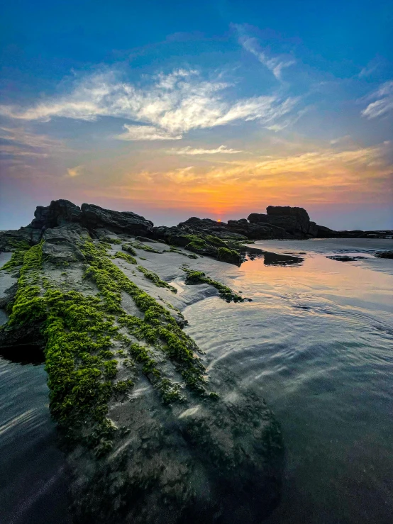 a sandy shore next to the ocean with green vegetation growing on it