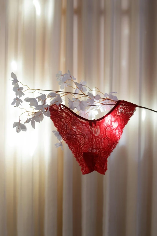 a light is behind the lace of a red lingerie