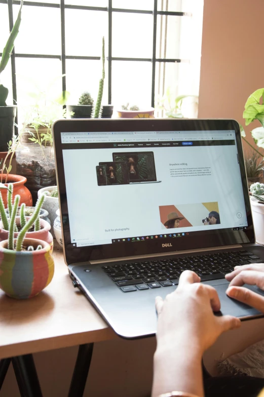 a person is working on a laptop next to some potted plants