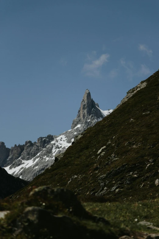 two horses grazing on the side of a mountain