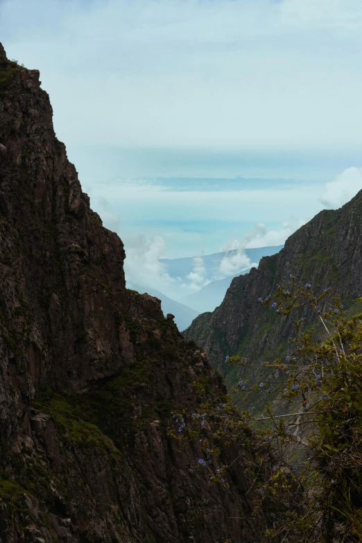 an animal that is standing on some rocks