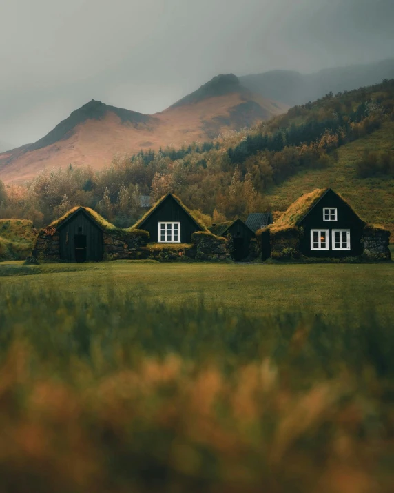 three barns with grass roofs sit in the foreground, in front of grassy mountains