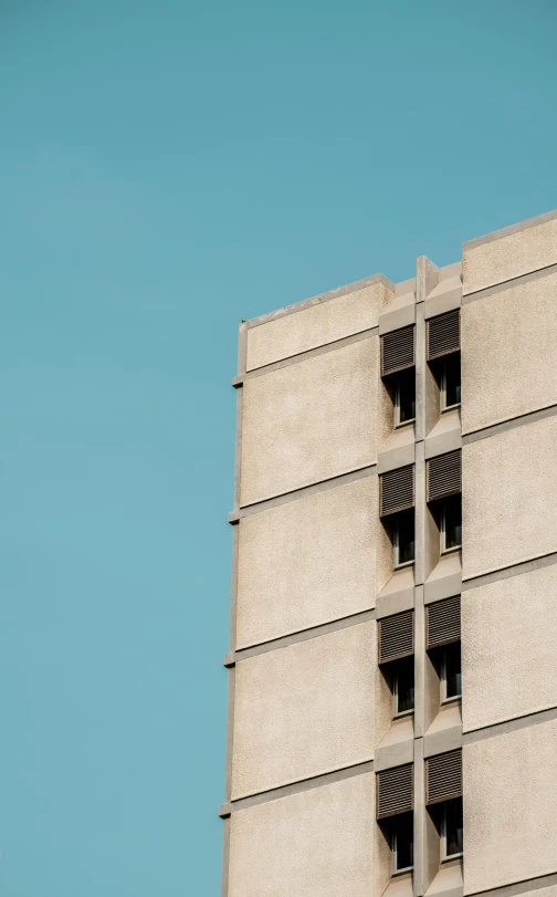 two birds sit on a ledge of the side of a building