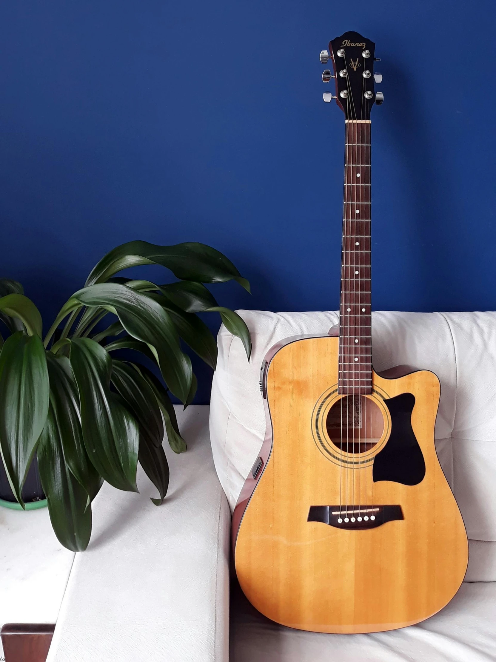 a guitar sitting on a sofa next to a green plant