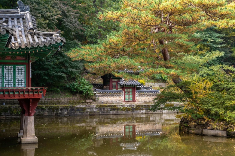 this is an image of a pond in the park