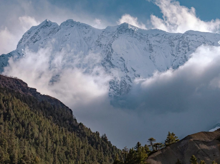 snow covered mountains and green pine trees under a cloudy sky