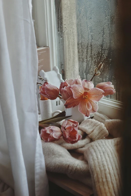 a flower that is sitting on a towel