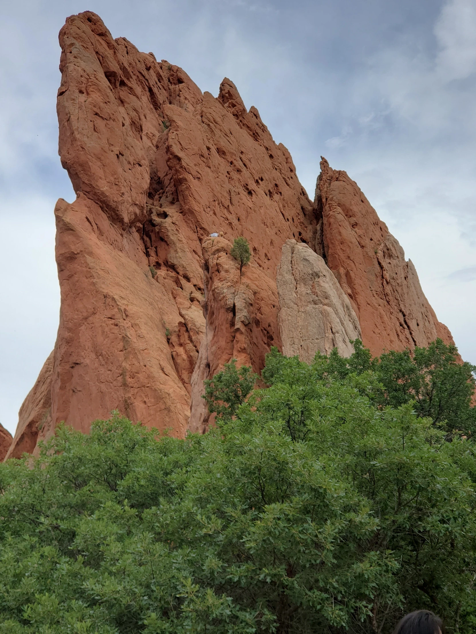 there is a bird perched on the rock at the base