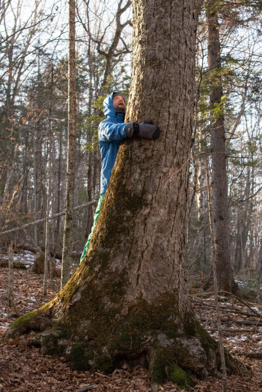 a person in the woods hugging a tree