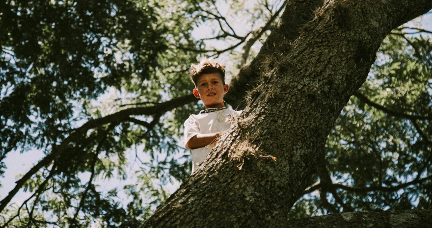 a boy is climbing up a tree talking on a phone