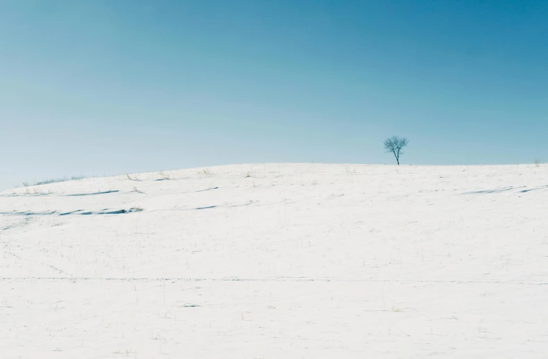 someone in a red coat standing on top of a hill