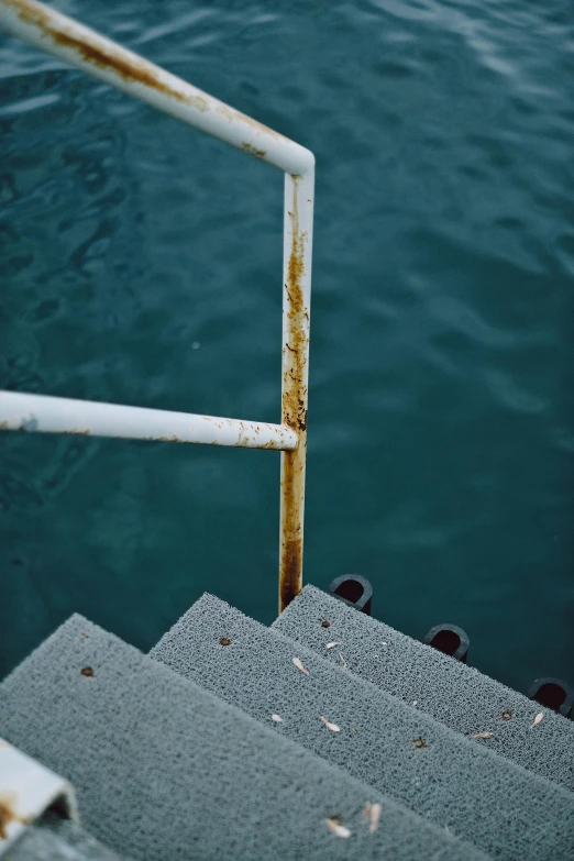 stairs with metal rails above the water with a bird on top of them