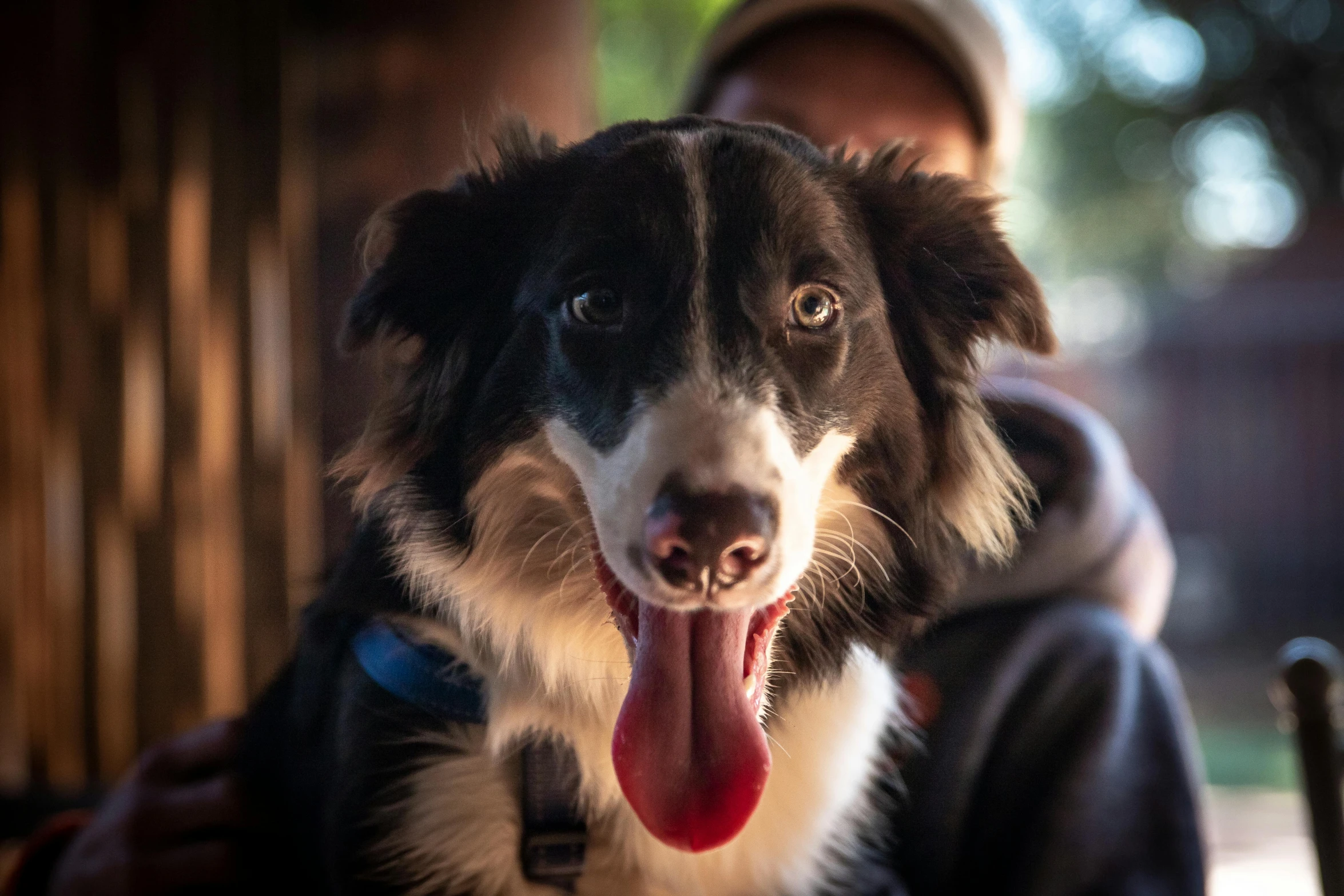 a person has his mouth open and a dog sitting next to him