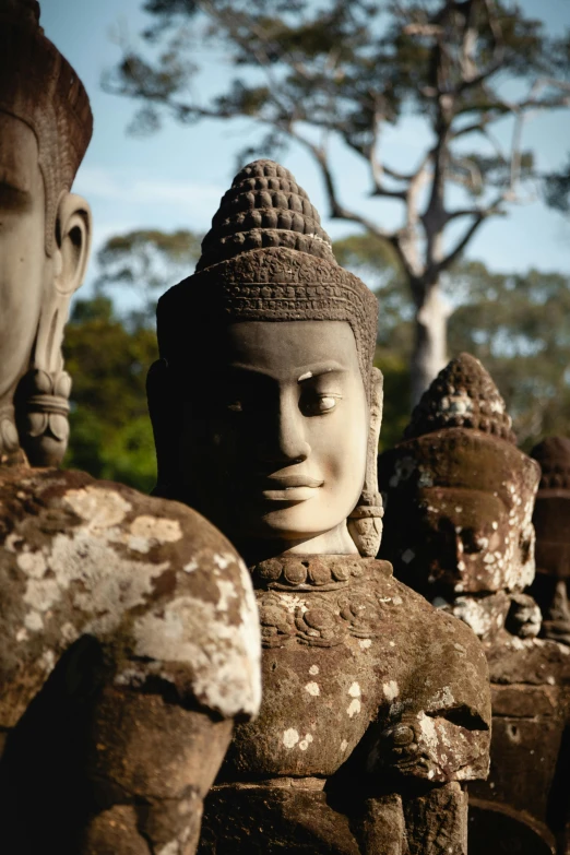 statues of buddhas lined up near trees