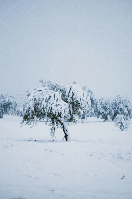 the winter landscape is covered in heavy snow