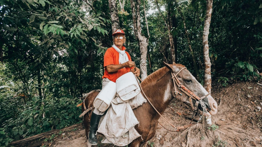 a person rides a horse through some brush