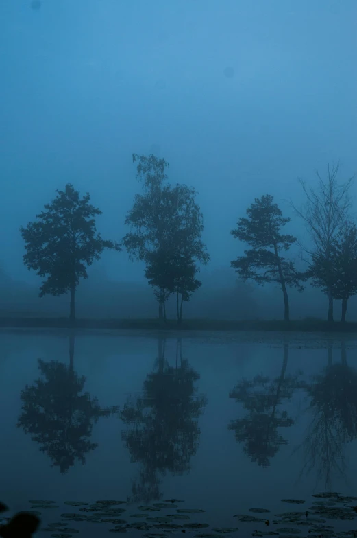 a dark fog filled area with a lake, trees and bushes