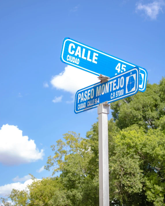 two street signs pointing to the opposite streets