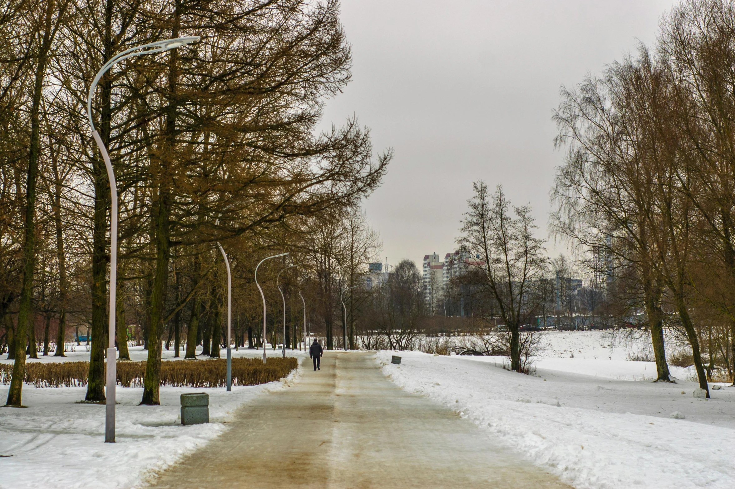 this is an image of a path through the park