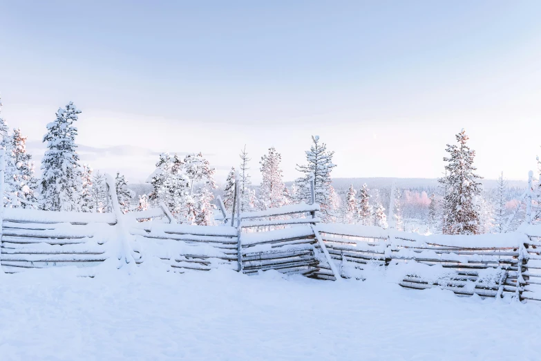 a line of wooden fences stands covered in snow