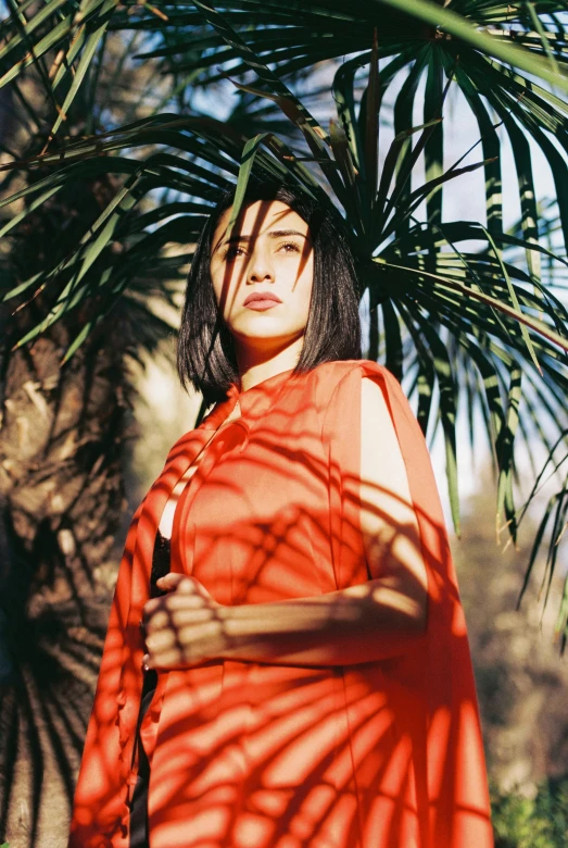 a woman standing under a palm tree on a sunny day