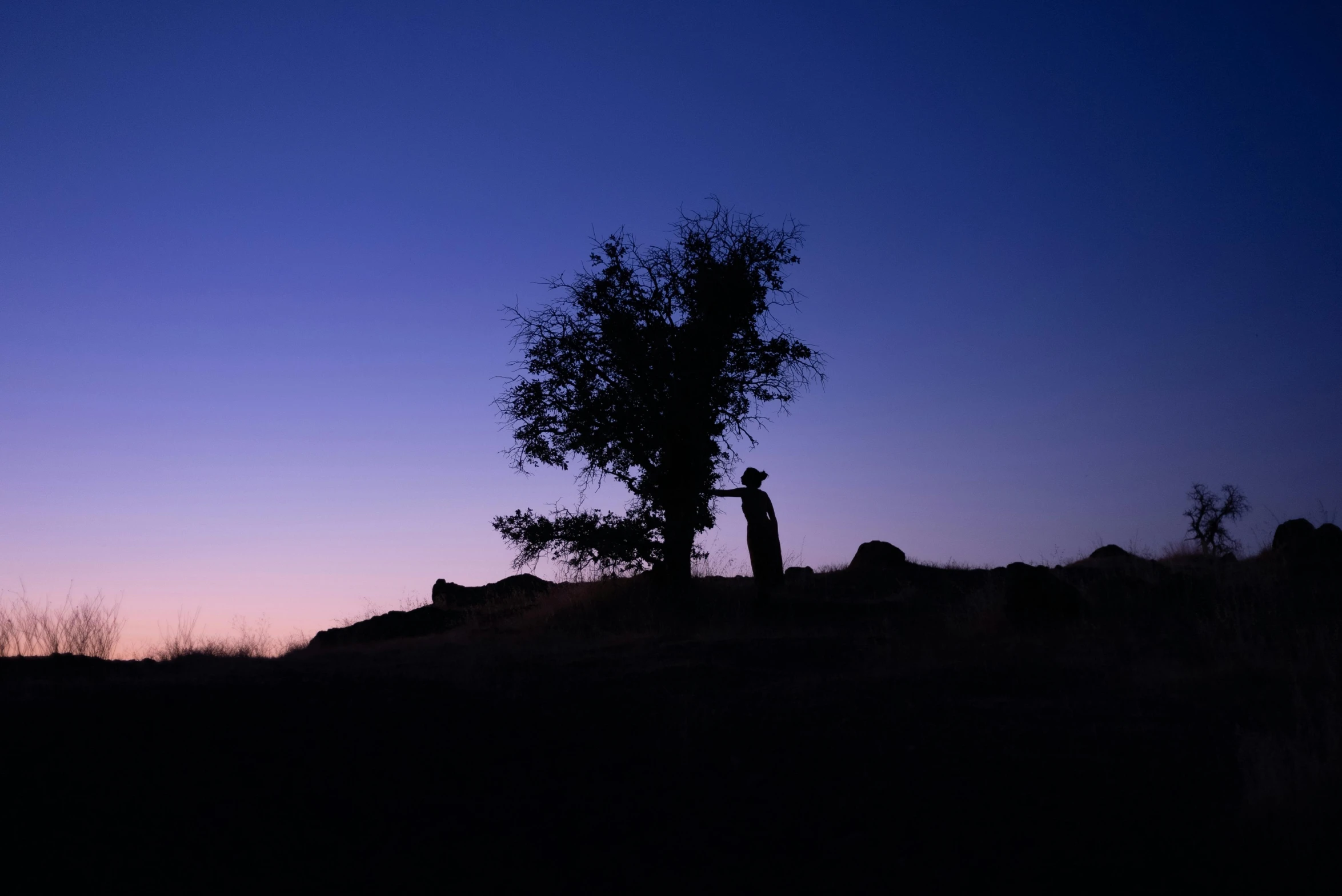 silhouette of tree and people with arms extended in the evening