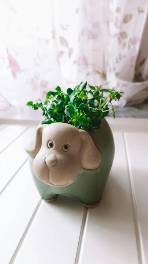 small plant with green leaves in ceramic elephant pot