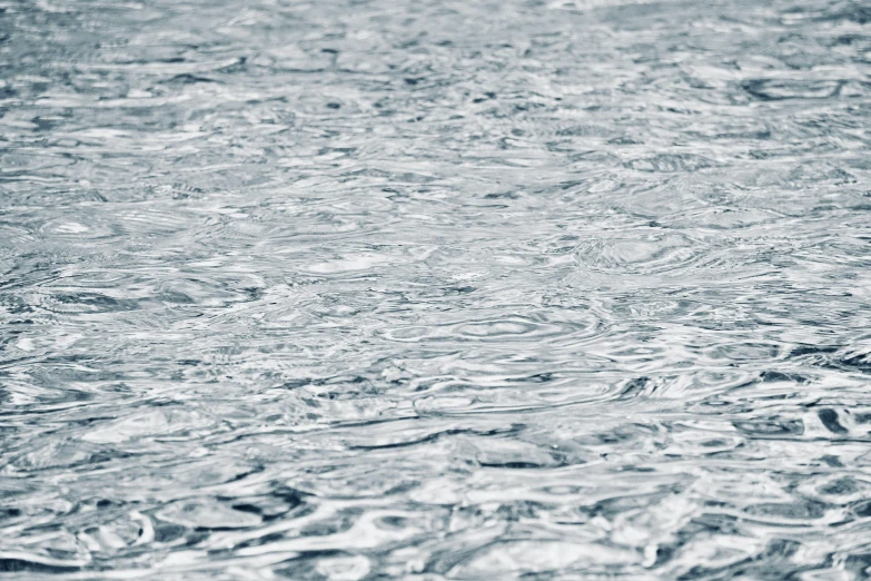 a duck floating on top of the water in front of rocks