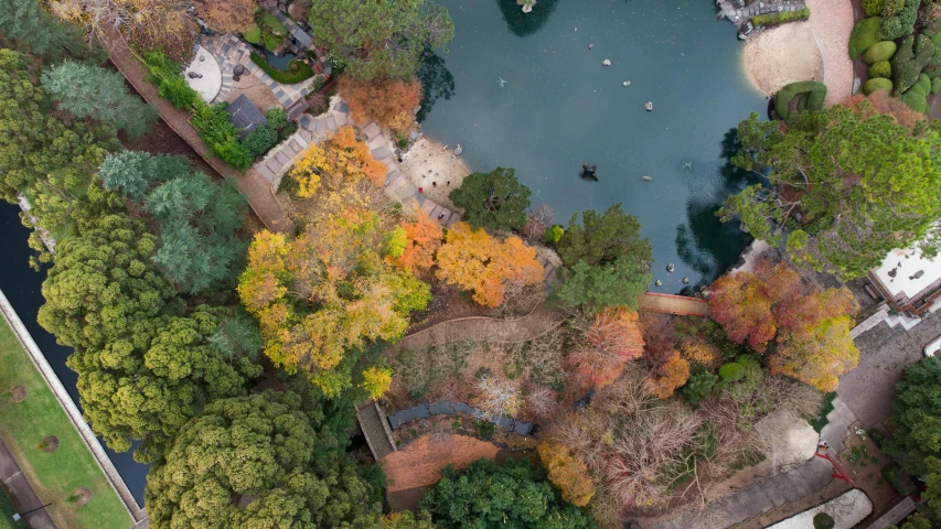 an aerial view of a body of water with trees surrounding it