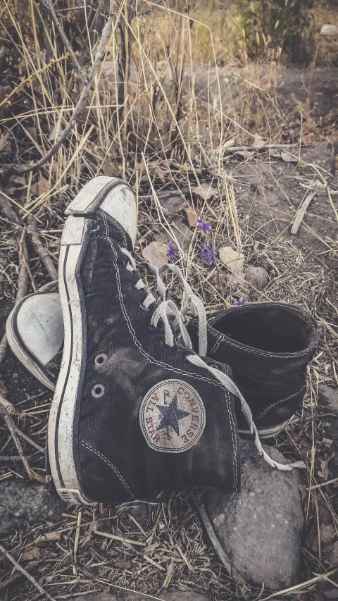 a black converse sneaker with white laces sits in the middle of grass and brush