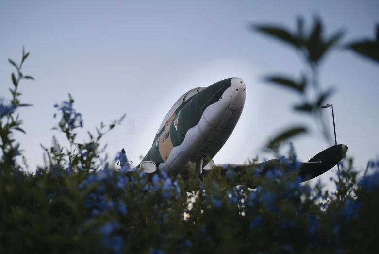 a large jet airplane flying over a lush green field