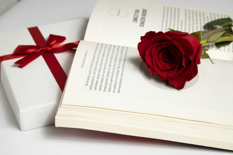 a rose is on a book with red ribbon