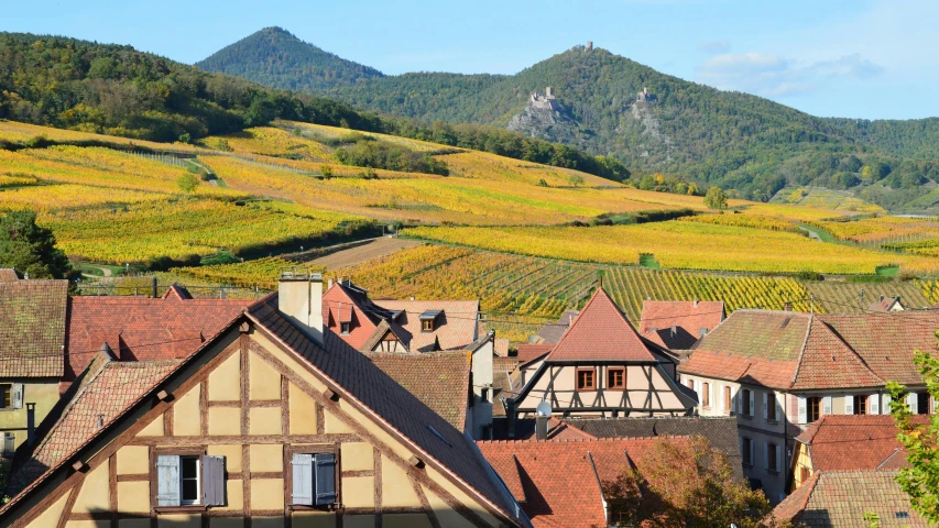 an image of the roofs of houses that are in the foreground