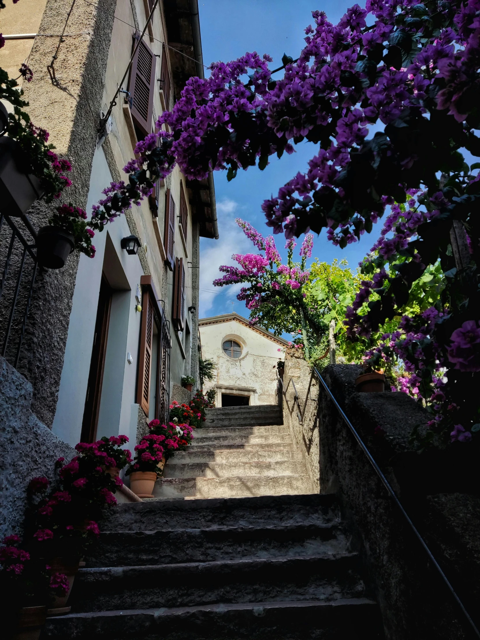 a stone staircase with potted plants at the end and purple flowers in front of it