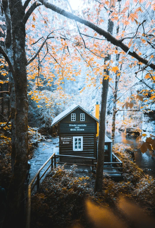 the cabin has a bridge to go through it