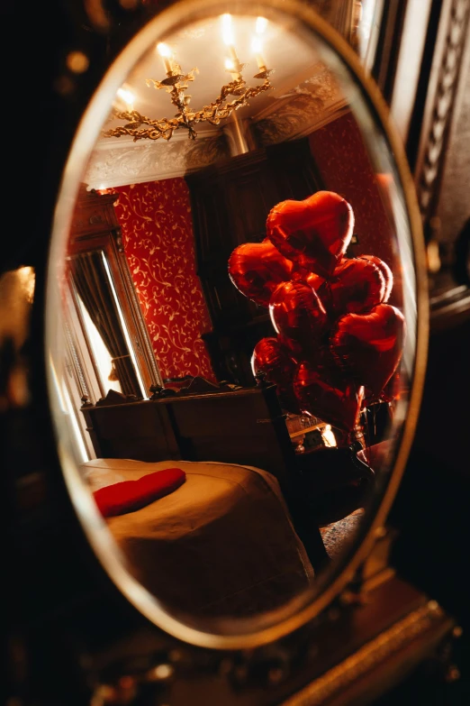 the red flowers are seen through a magnifying glass