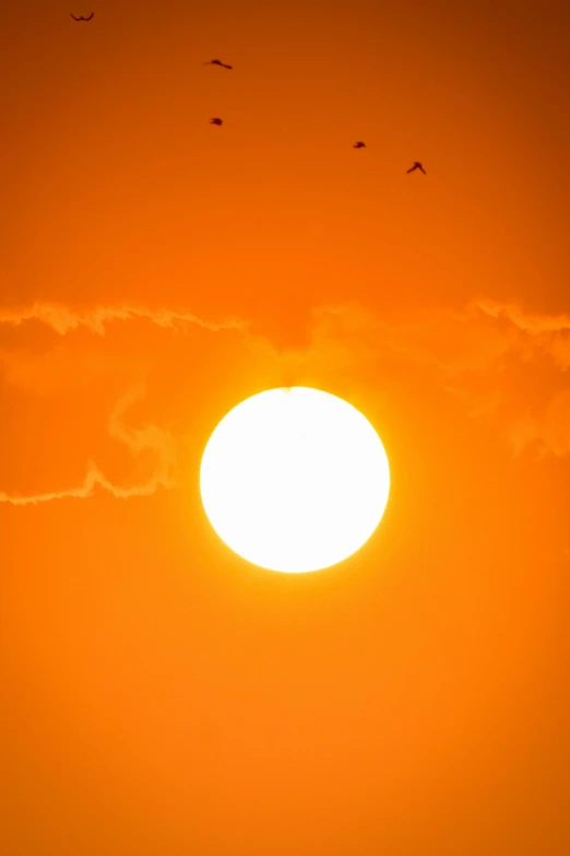 a sunset with birds flying in the sky