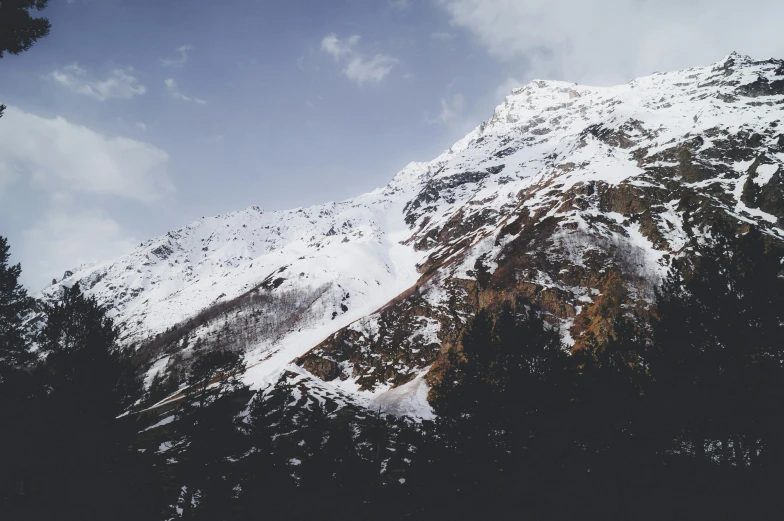 a snow covered mountain with trees on both sides