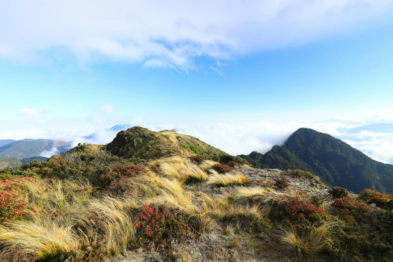 a tall grassy hill sitting under a blue cloudy sky