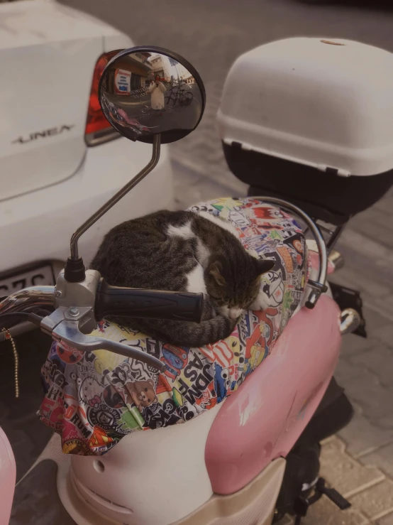 a cat is lying on the seat of a motorcycle