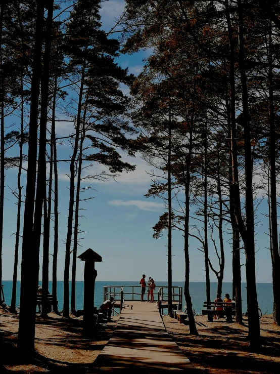 several people are enjoying a day at the beach