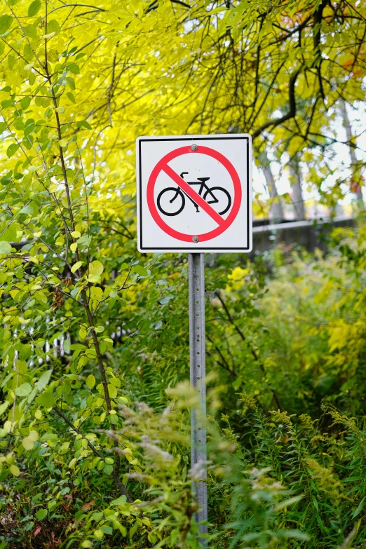 a sign indicating there is no bicycle allowed