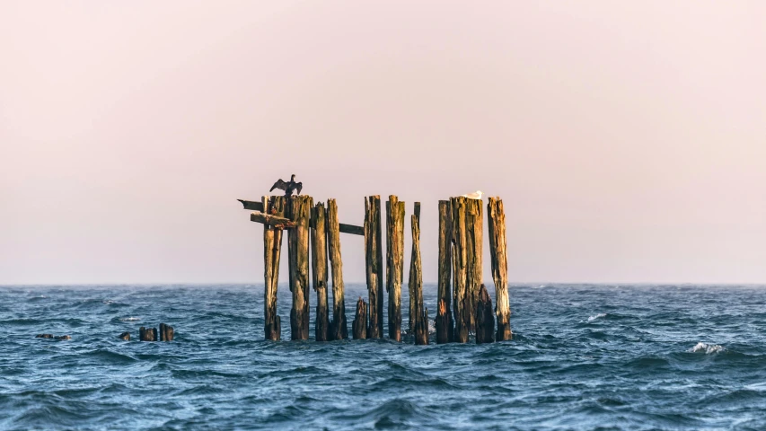 a man in a boat floating next to wooden poles