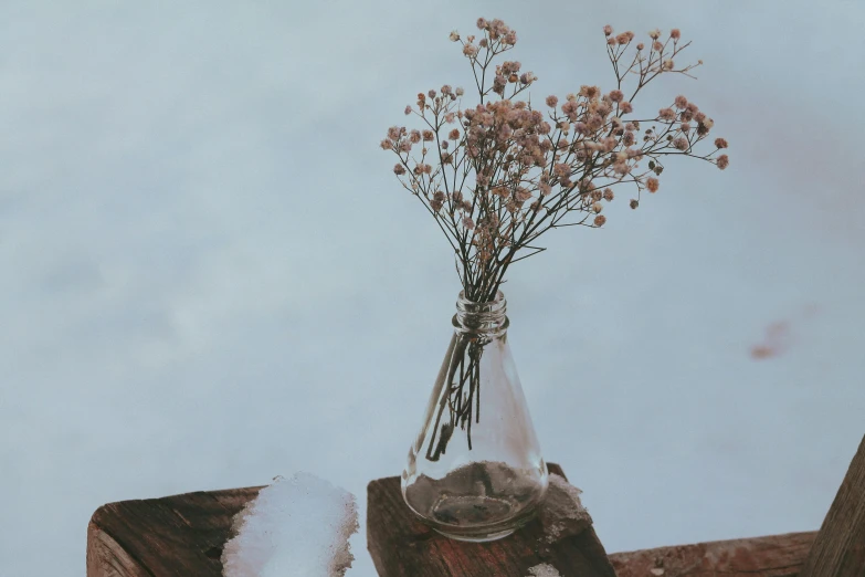 a vase of small flowers and rocks on a table