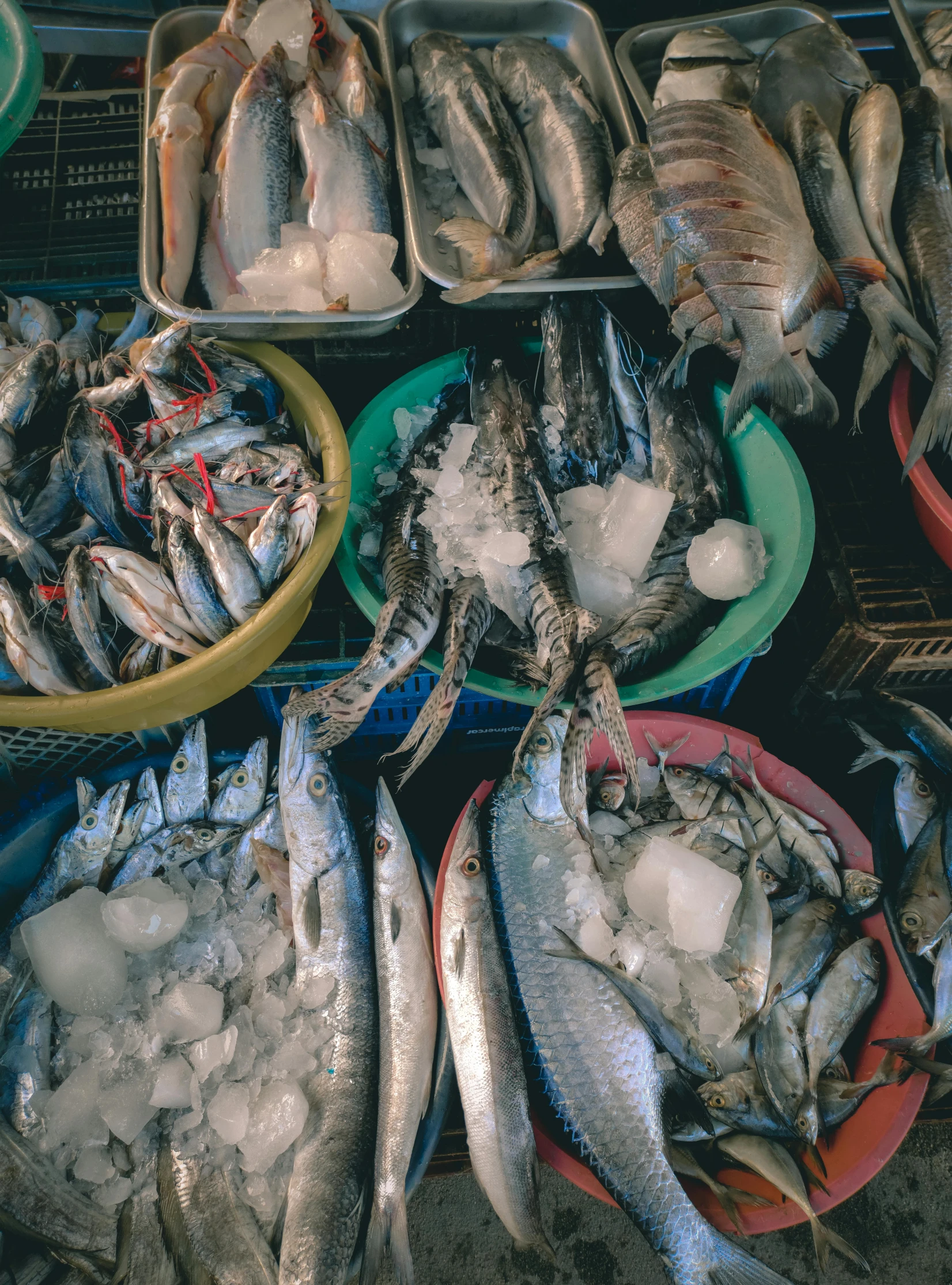 this is an assortment of seafood sitting on the table