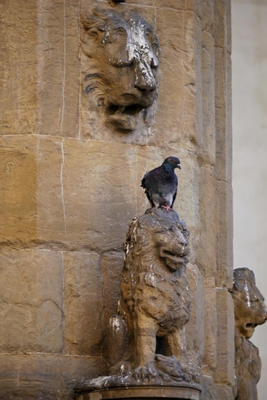 a bird is standing on the head of a statue