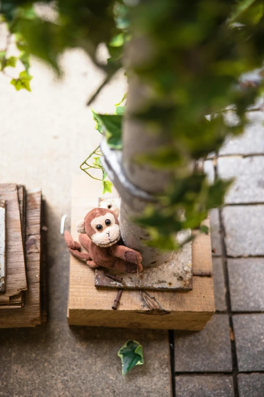 some stuff animal placed on wood boxes on a tile ground