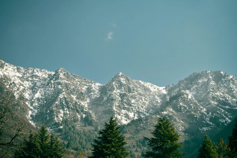 a bunch of trees and snow are against the mountains