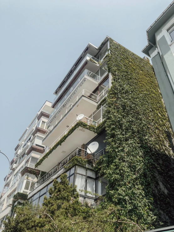 a high rise building covered in ivy next to a bird feeder